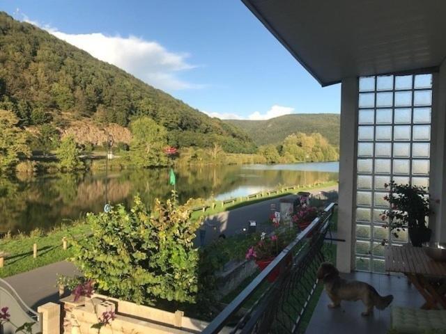 La Rose Sur Meuse Villa Haybes Exterior photo